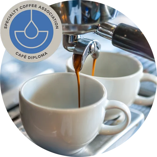 SCA 카페 디플로마 로고와 에스프레소 추출 장면